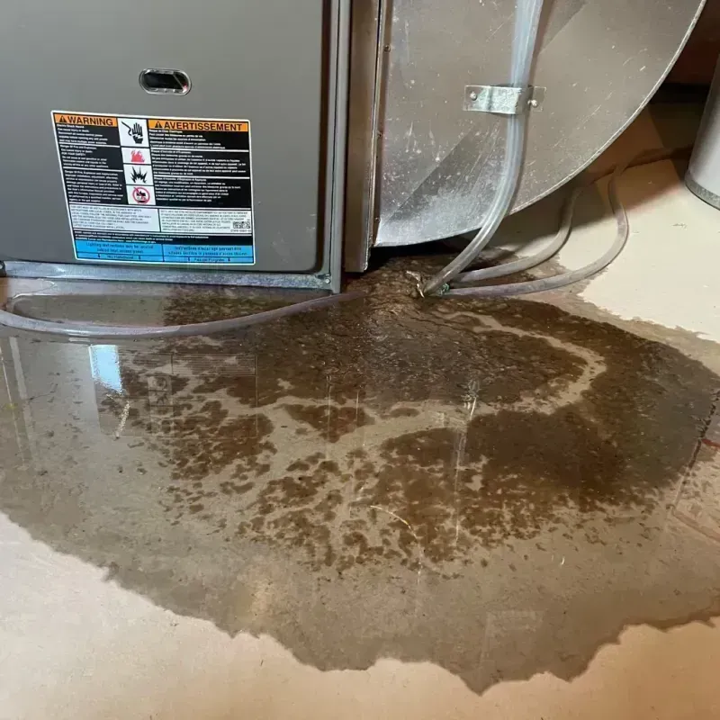 Appliance Leak Cleanup in Graham, WA